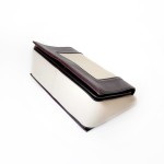 Celine Frame Shoulder Bag in Bi-Color Calfskin